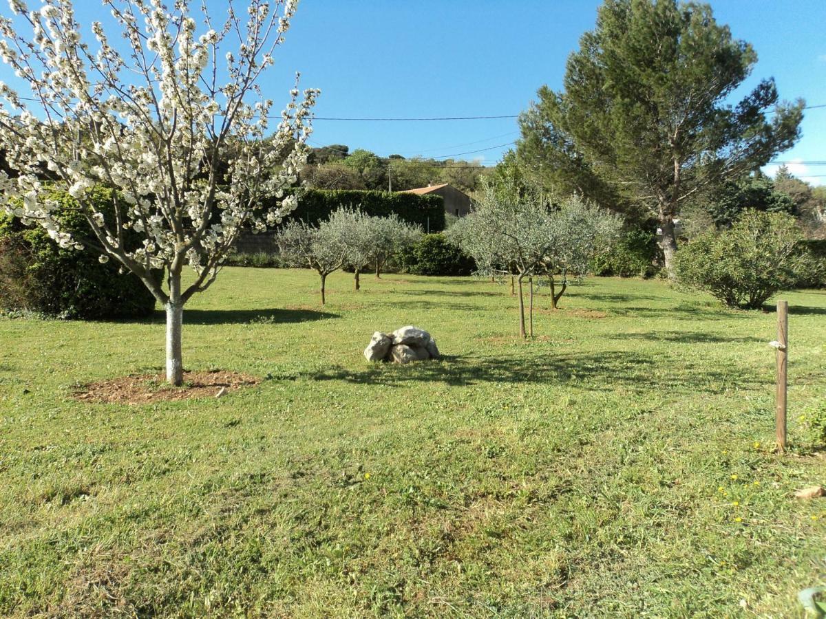 Gite Touristique Piolenc ภายนอก รูปภาพ